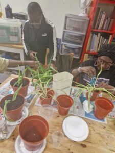 Wolverhampton Wellbeing Hub – Supporting Wellbeing in Wolverhampton ...